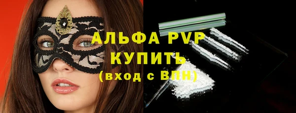 стаф Белокуриха