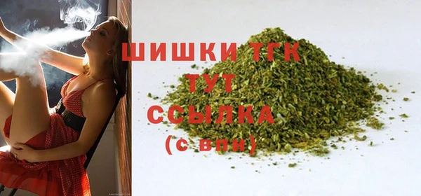 стаф Белокуриха