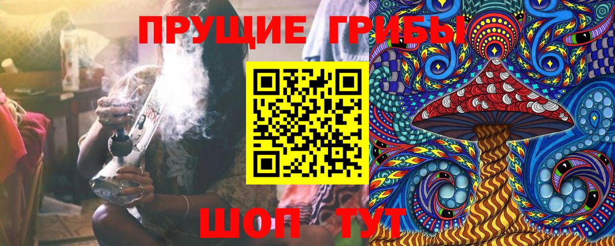 где продают наркотики  Вход с VPN  Псилоцибиновые грибы Psilocybe  Усть-Джегута  Галлюциногенные грибы Psilocybe 